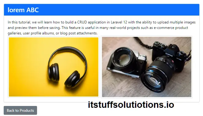 Laravel 12 Multiple Image Upload CRUD show page Preview